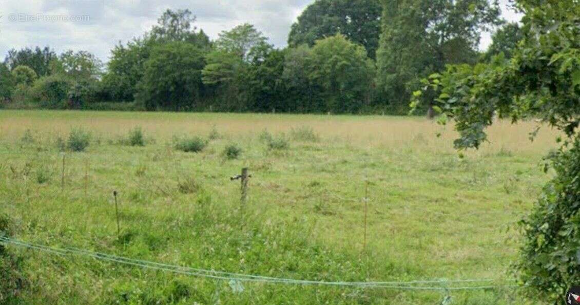 Terrain à ANDOUILLE-NEUVILLE