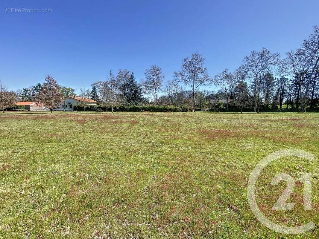 Terrain à LABASTIDE-SAINT-PIERRE