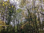 Terrain à POULLAOUEN