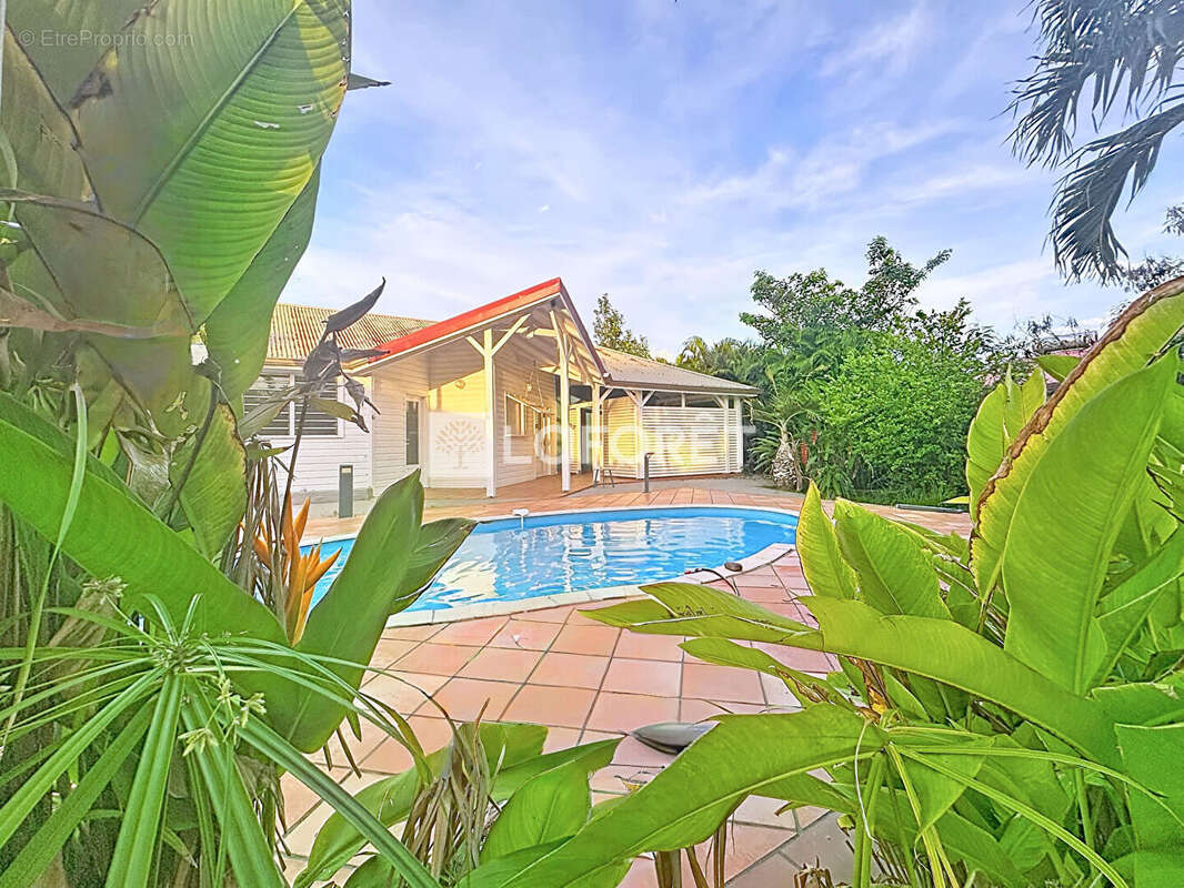 Maison F4  à Sainte Anne avec garage et piscine - photo 5