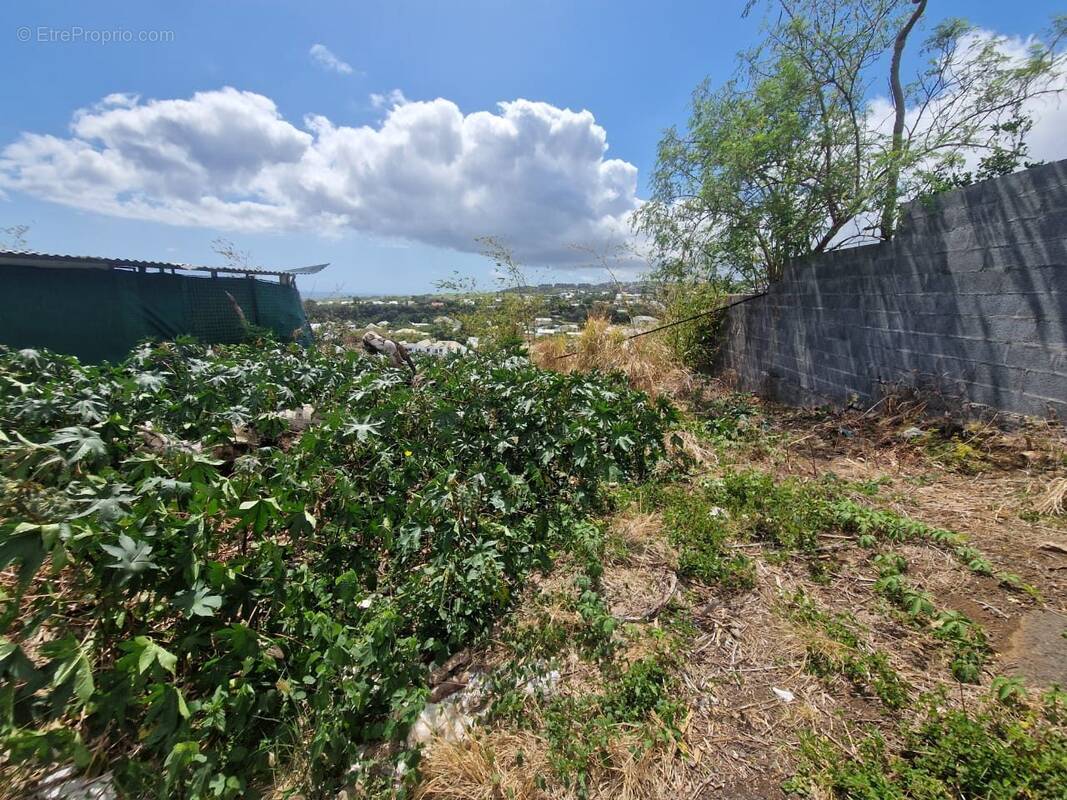 Terrain à SAINT-DENIS