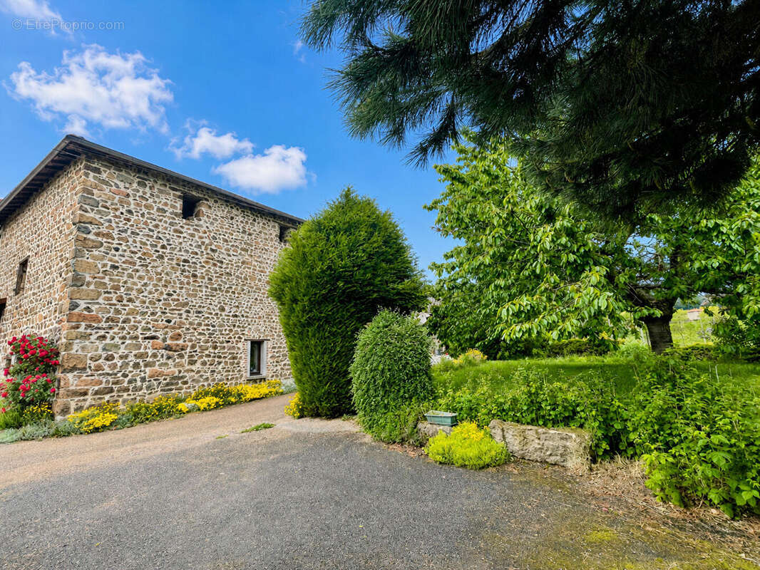 Ferme en pierre rénovée avec 3 chambres, possibilité 4ème chambre, terrain arboré et rénovation énergétique à 20 min de Roanne. - photo 2