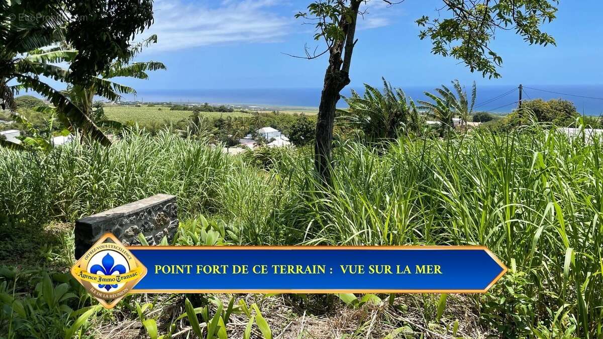 Terrain à SAINTE-MARIE