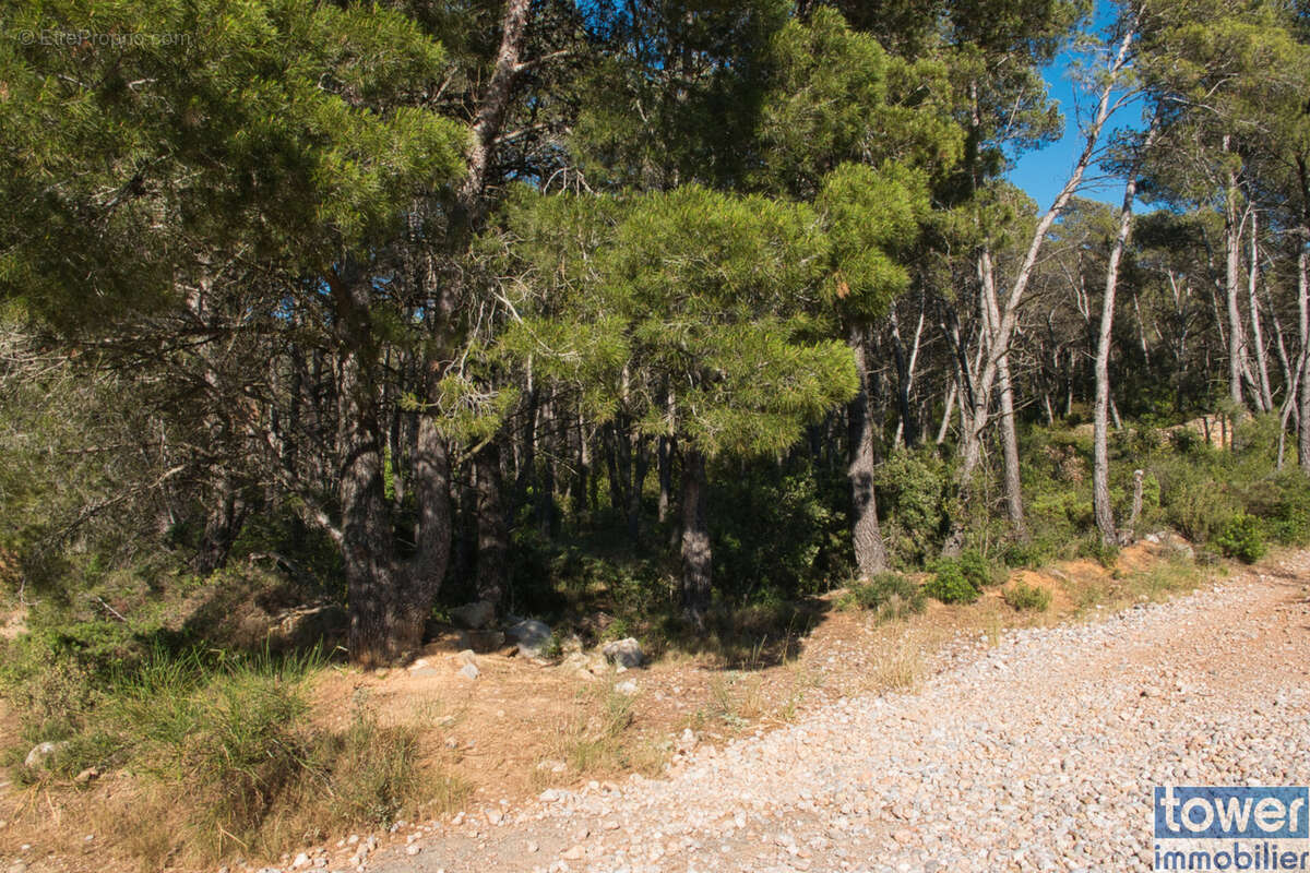 Terrain à FABREZAN