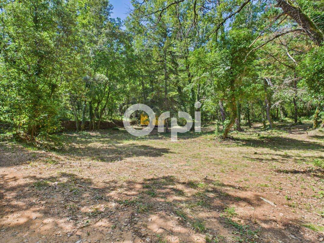 Terrain à MONTAUROUX