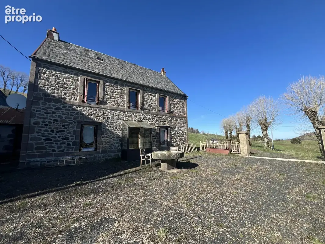 Entre besse et super-besse propriete en pierre avec grange, ecurie et source sur 12594m2 de terrain - photo 3