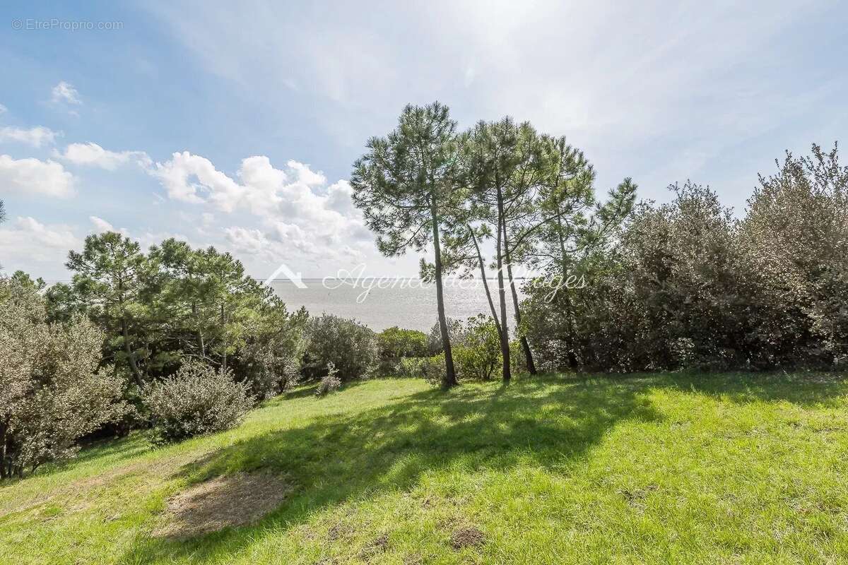 Maison à SAINT-GEORGES-DE-DIDONNE