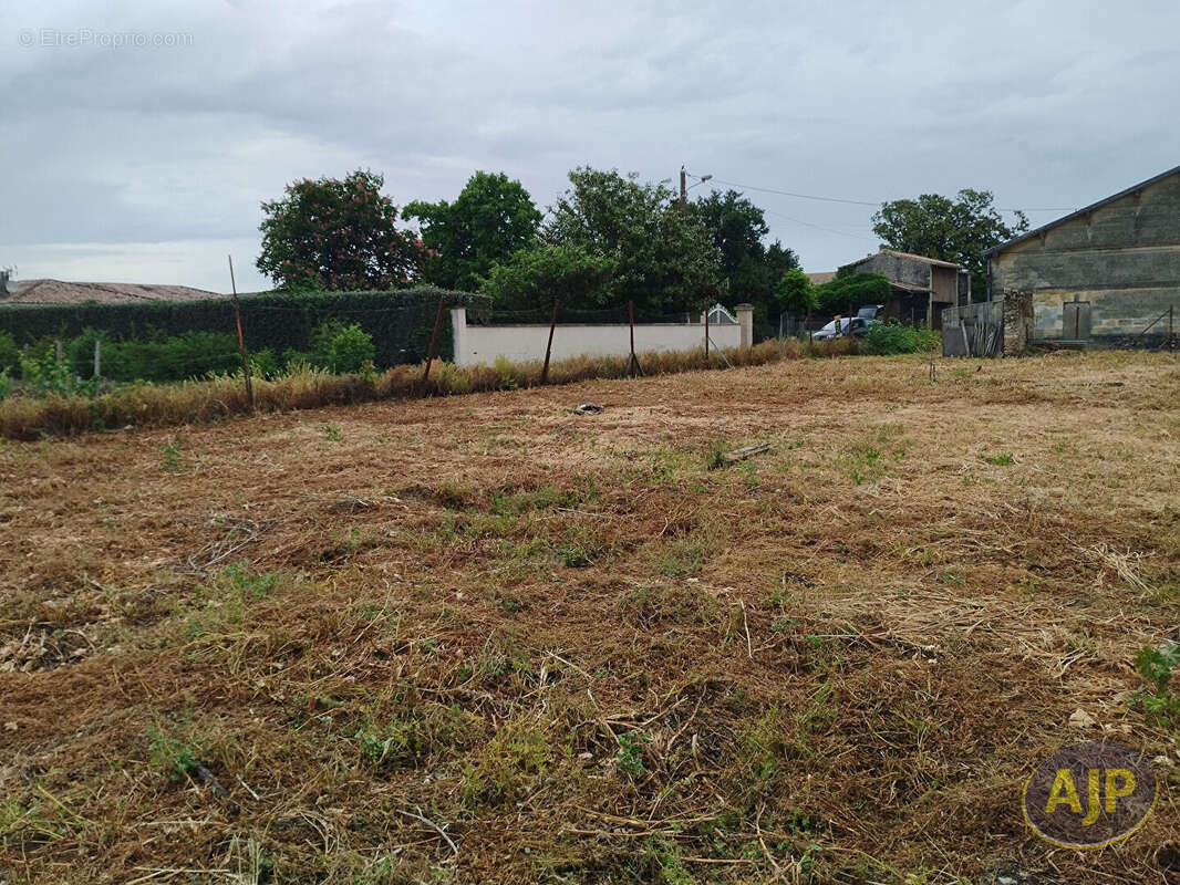 Terrain constructible Pauillac 635 m2 - photo 4