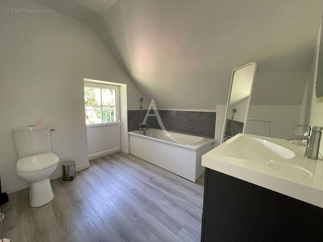 Maison à MONTHOU-SUR-CHER