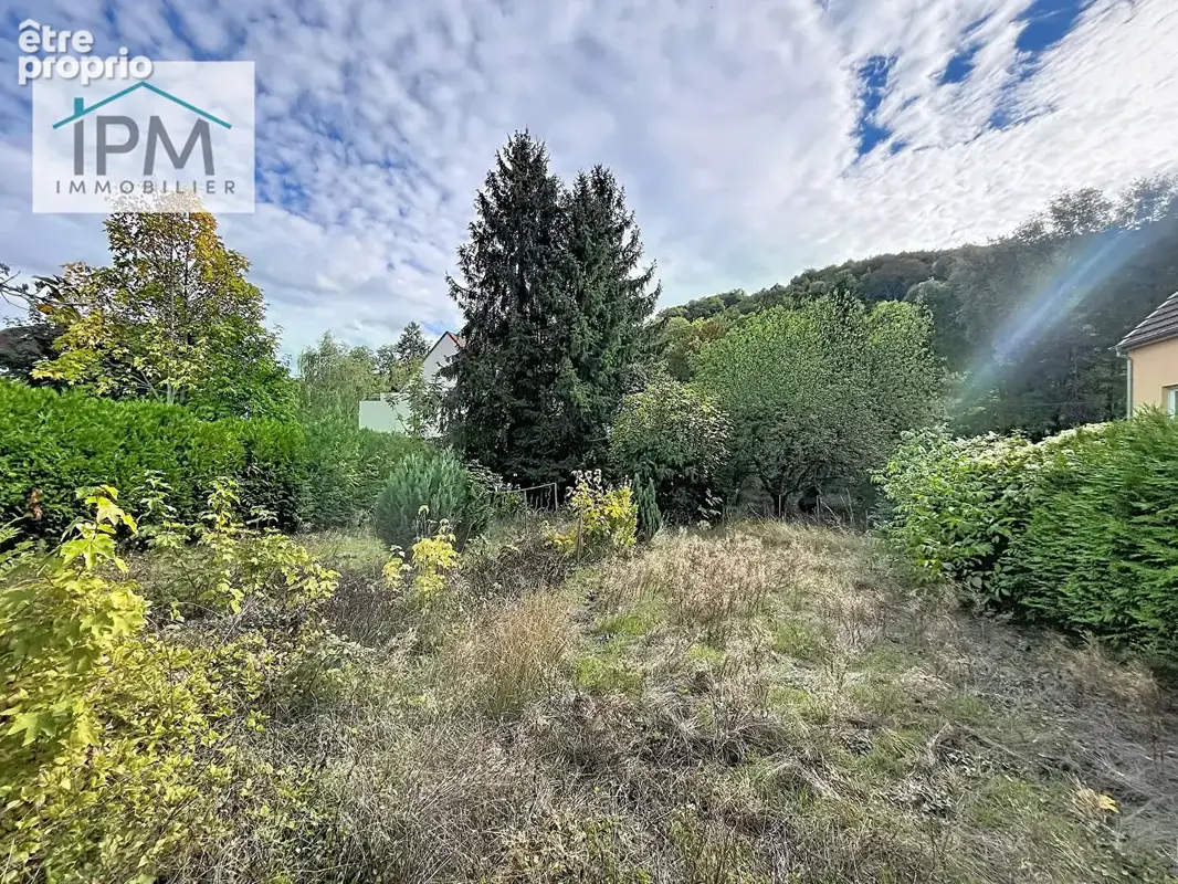 Maison dans la verdure - 14 ares - Projet bi-famille possible - photo 10