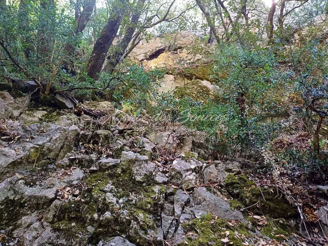 Terrain à BRAS