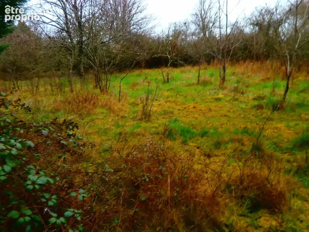 Photo Terrain à Deols au prix de 40 000€