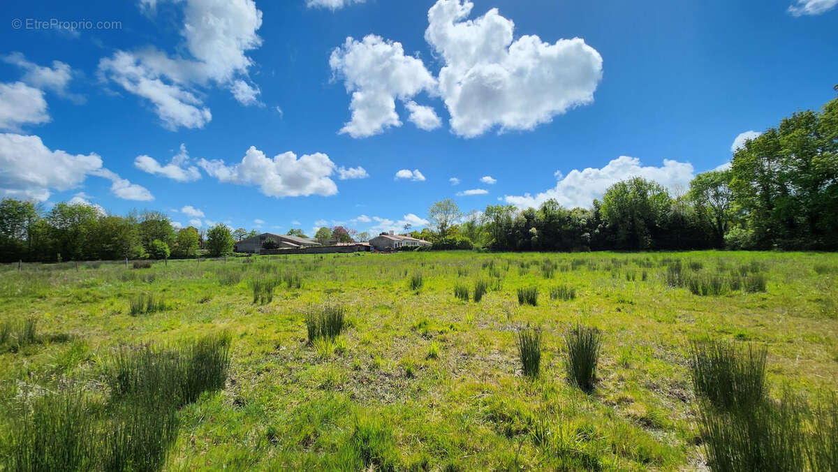 sans doute une des plus belle ferme de la commune sur près de 10 hectares d'un seul tenant - photo 24
