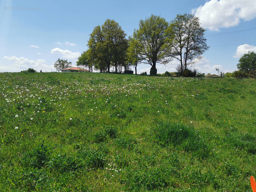 Terrain à SAINT-GEORGES-DE-MONS