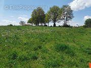 Terrain à SAINT-GEORGES-DE-MONS