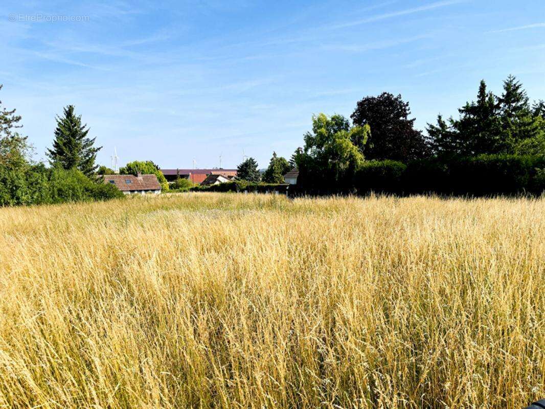 Terrain à LES GRANDES-CHAPELLES