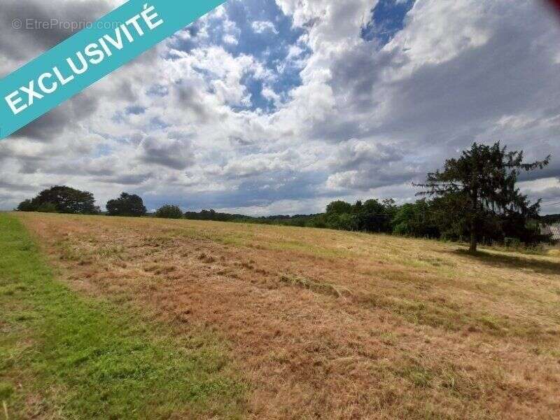Terrain 2917 m² à Navarrenx  - photo 6