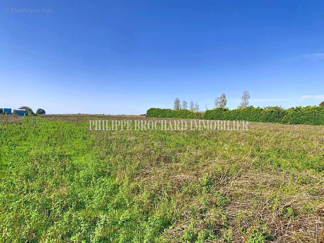 Terrain à MOUZEUIL-SAINT-MARTIN
