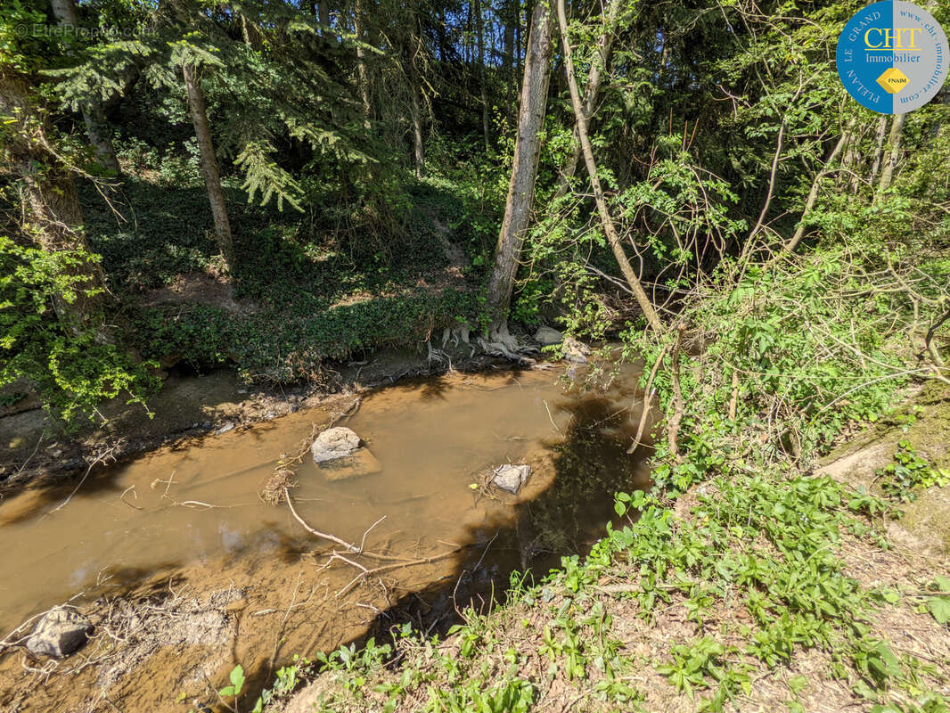 Un Manoir en Brocéliande à acheter avec CHT Immobilier - photo 44