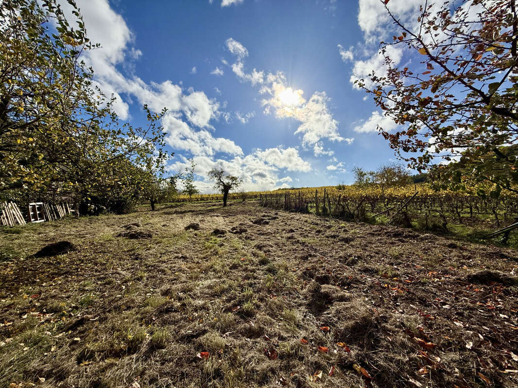Terrain à CHATENOIS