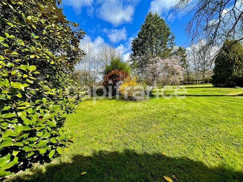 Maison à SAINT-ROCH