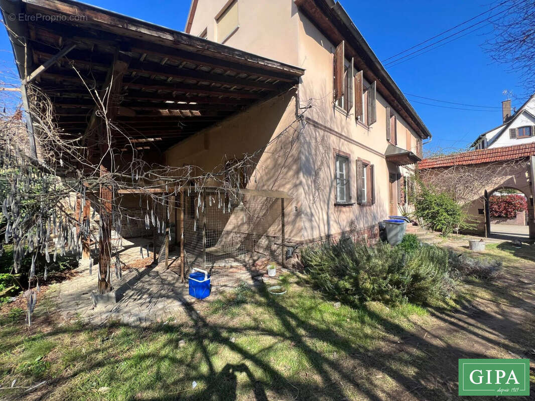 Appartement à NIEDERHAUSBERGEN