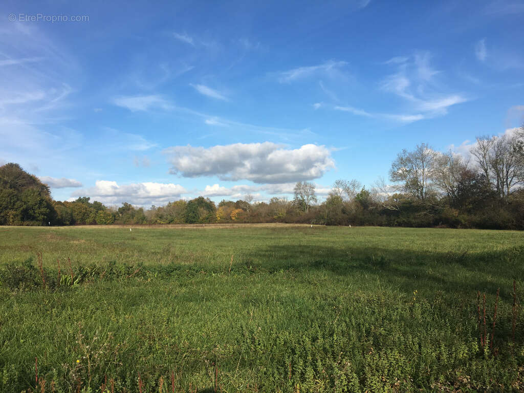 Terrain à SAINT-GERMAIN-D&#039;ESTEUIL