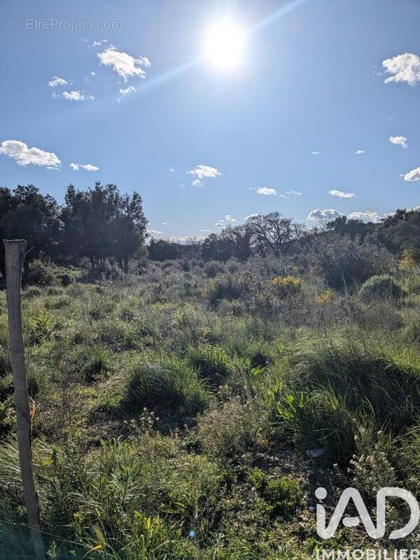 Photo 1 - Terrain à CASTILLON-DU-GARD