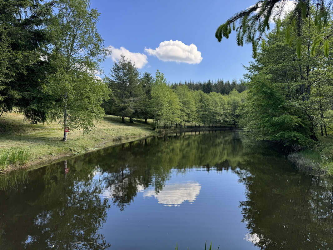 Ensemble de 2 grands etangs dans le morvan - photo 2