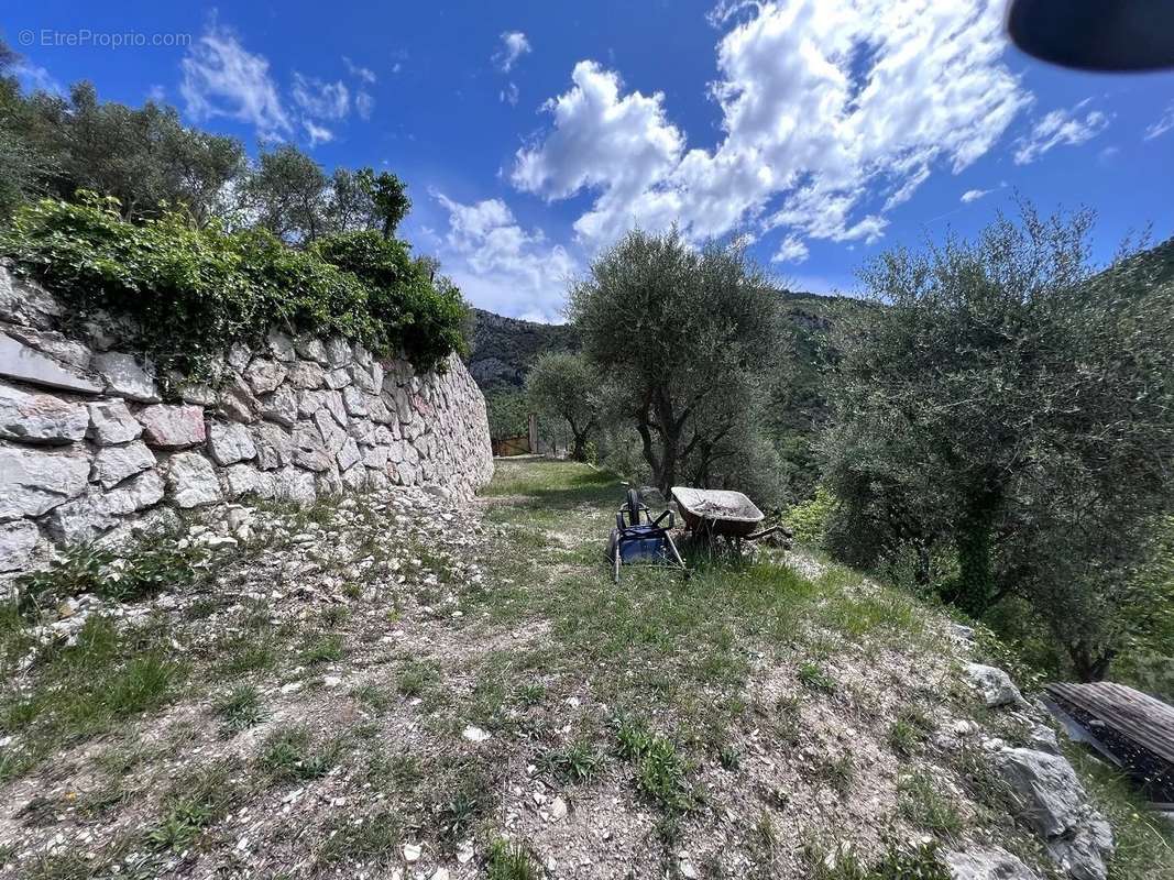 Terrain à TOUET-DE-L&#039;ESCARENE