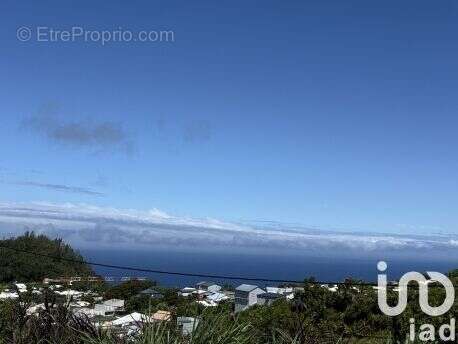 Photo 5 - Maison à PETITE-ILE