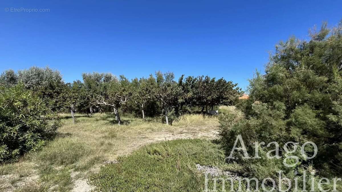 À vendre – Maison au Barcarès, entre mer et étang - photo 7