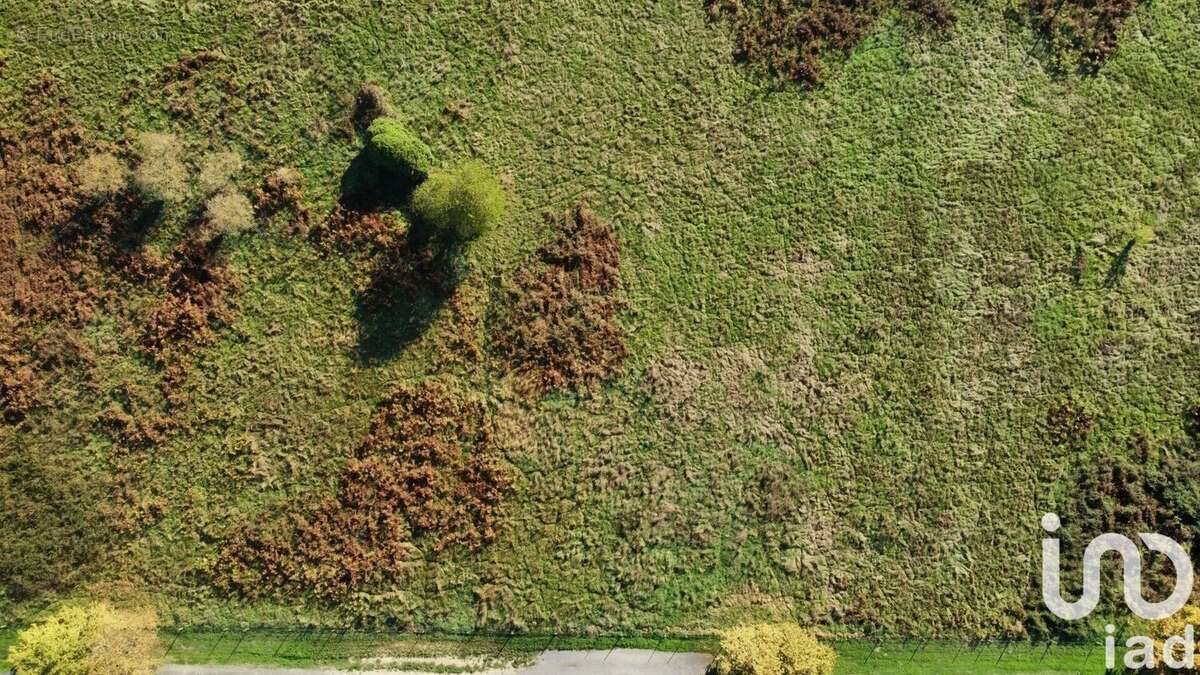 Photo 2 - Terrain à SAINT-SEURIN-SUR-L&#039;ISLE