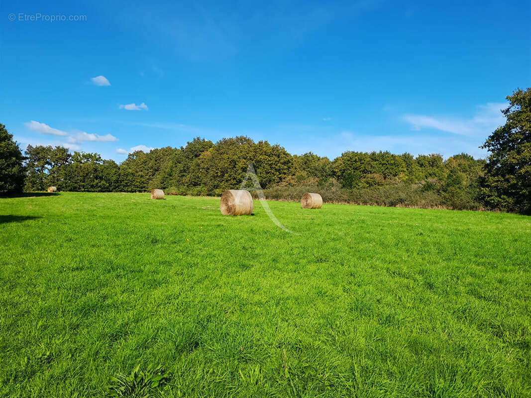 Maison à SALLERTAINE