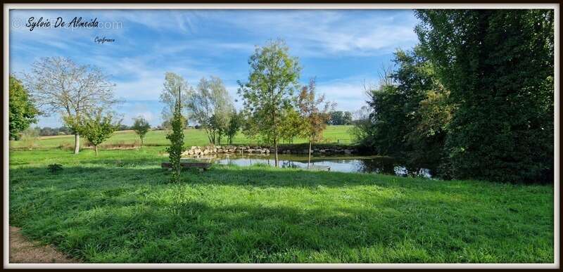 Propriété à vendre entre BIZIAT et PONT DE VEYLE (01) 16,5 Ha, vue, maison 145 m², ferme à rénover 170 m², pigeonnier, hangar, é - photo 2