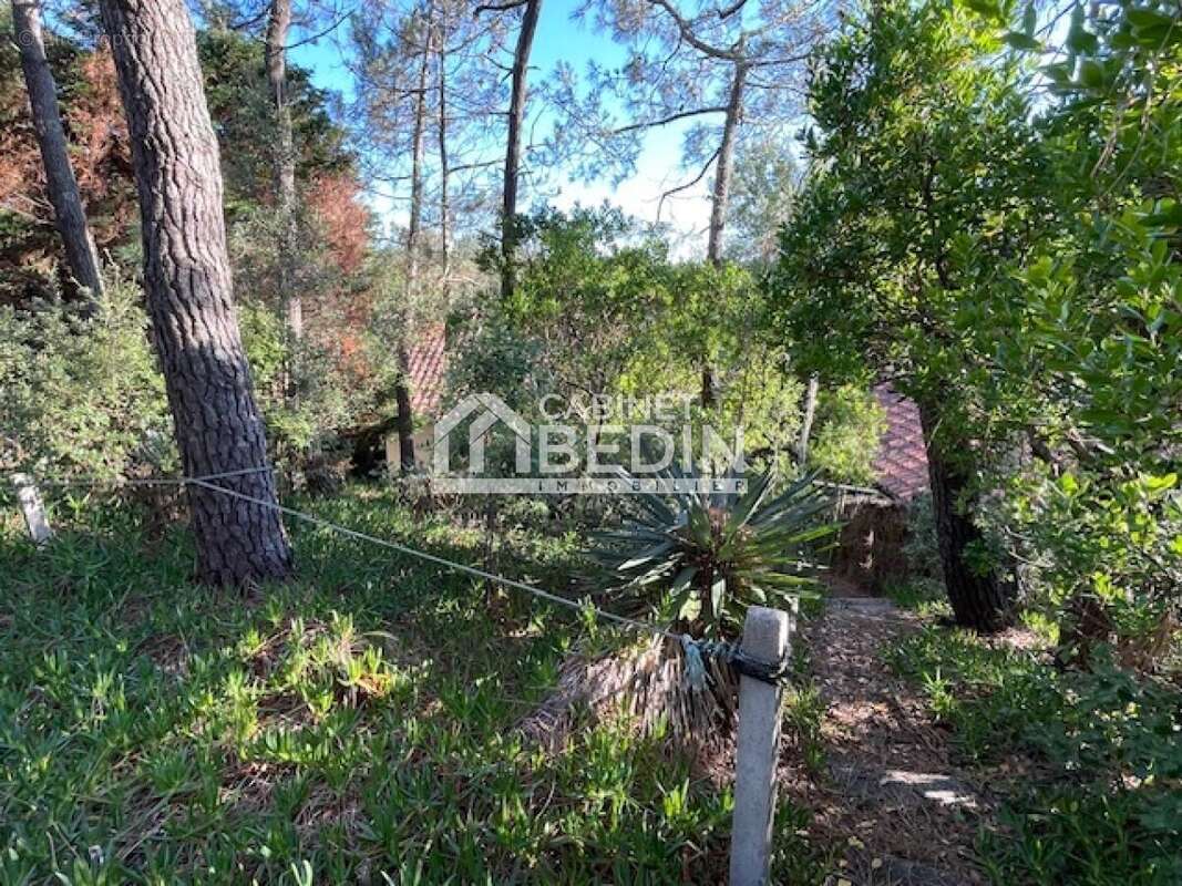 Maison à LEGE-CAP-FERRET