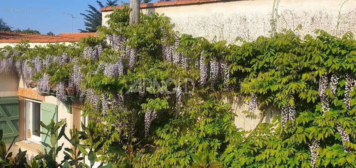 Maison à SAINT-BREVIN-LES-PINS