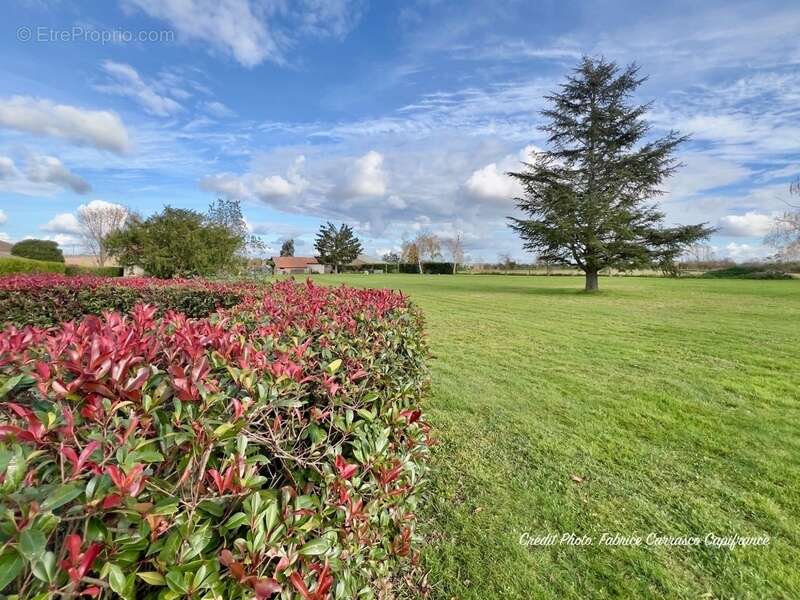 Maison à VARENNES-SUR-ALLIER