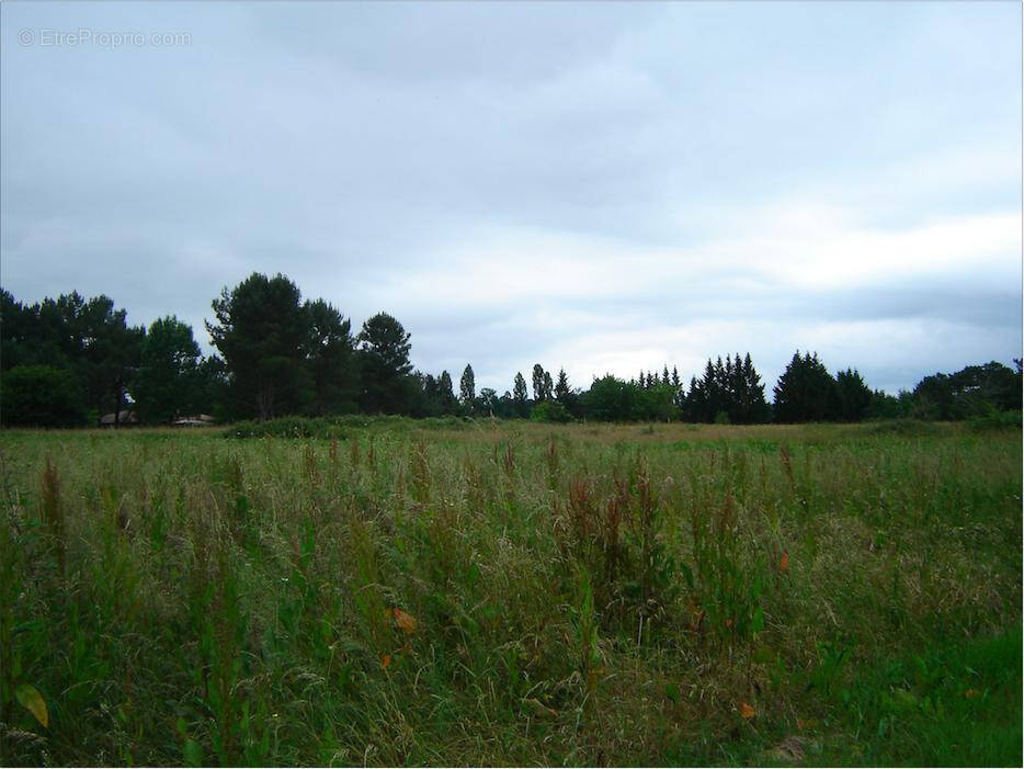Terrain à SAINT-MICHEL-DE-DOUBLE