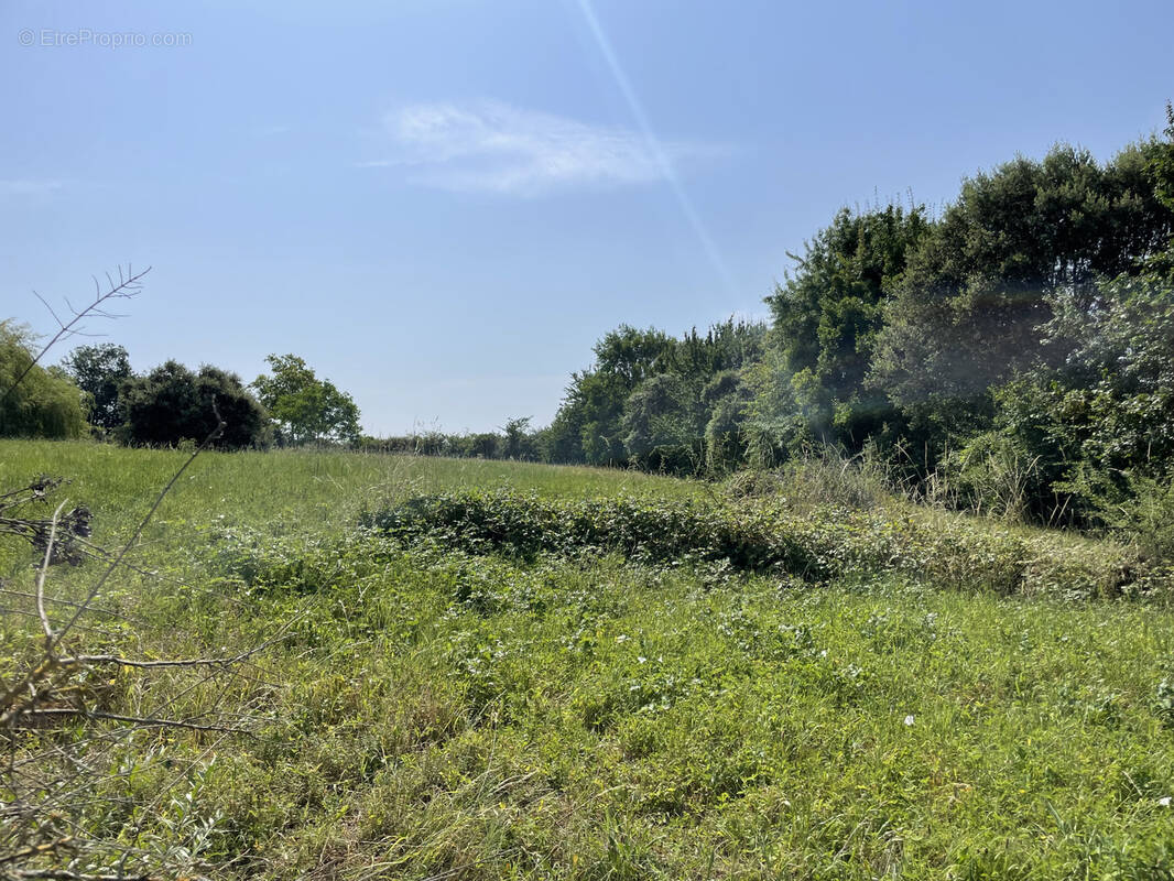 Terrain constructible à La Romieu (Gers) - photo 2