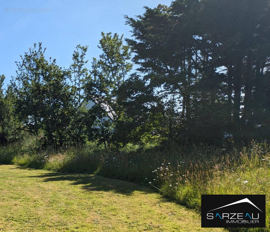 Terrain à SAINT-GILDAS-DE-RHUYS