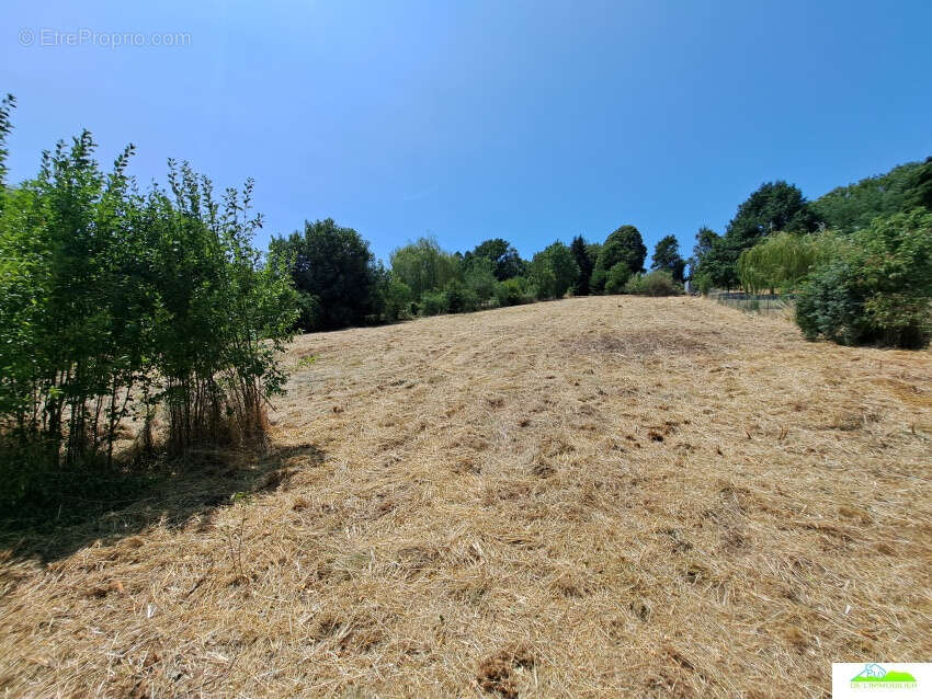 Terrain 3230 m² à Manzat  - photo 4