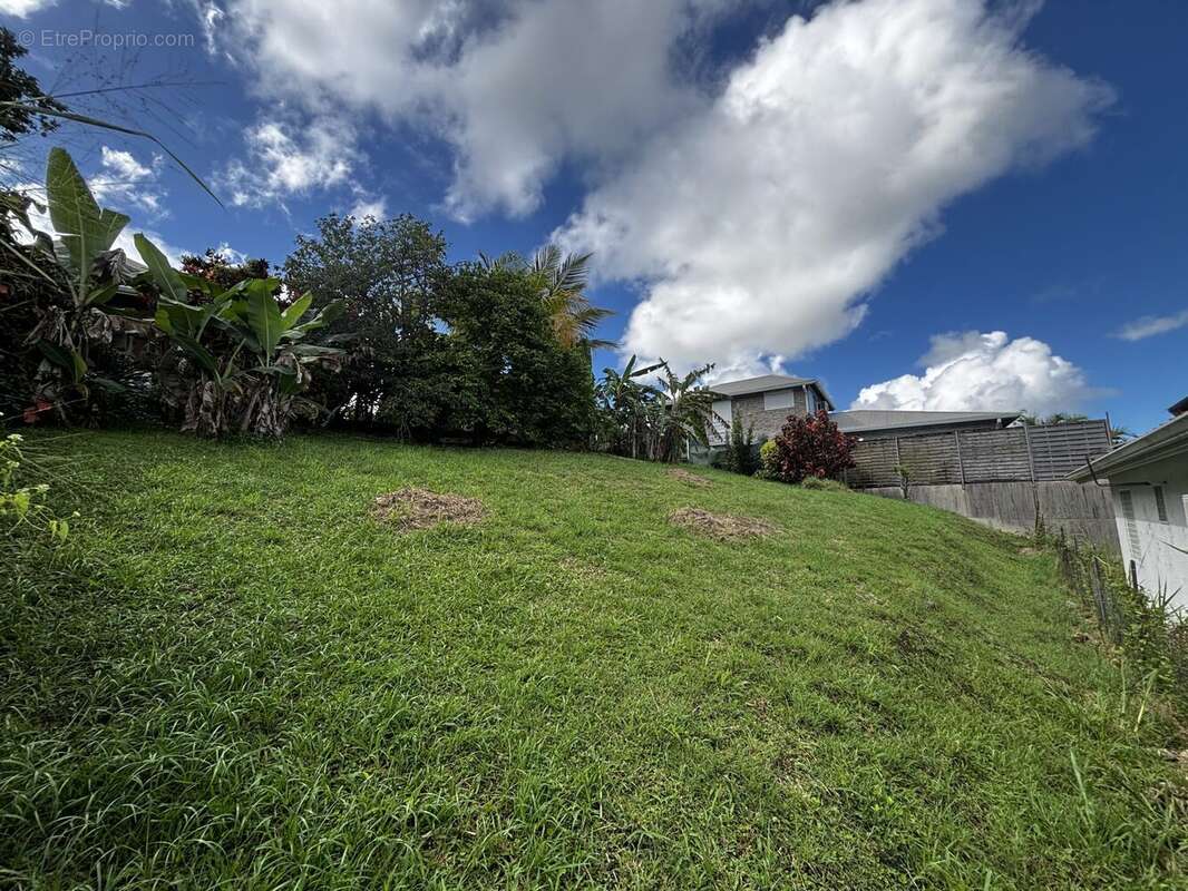 Maison à RIVIERE-SALEE