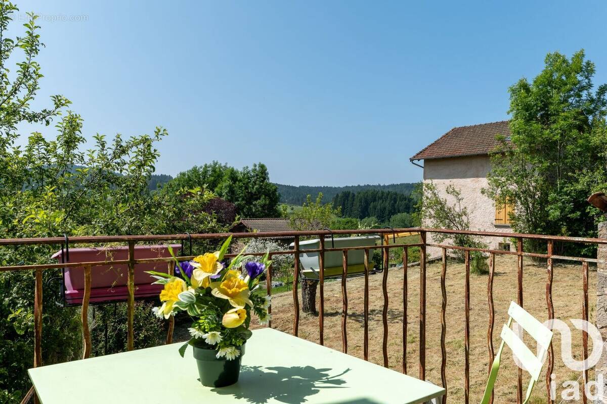 Photo 1 - Maison à SAINT-BONNET-LE-CHASTEL