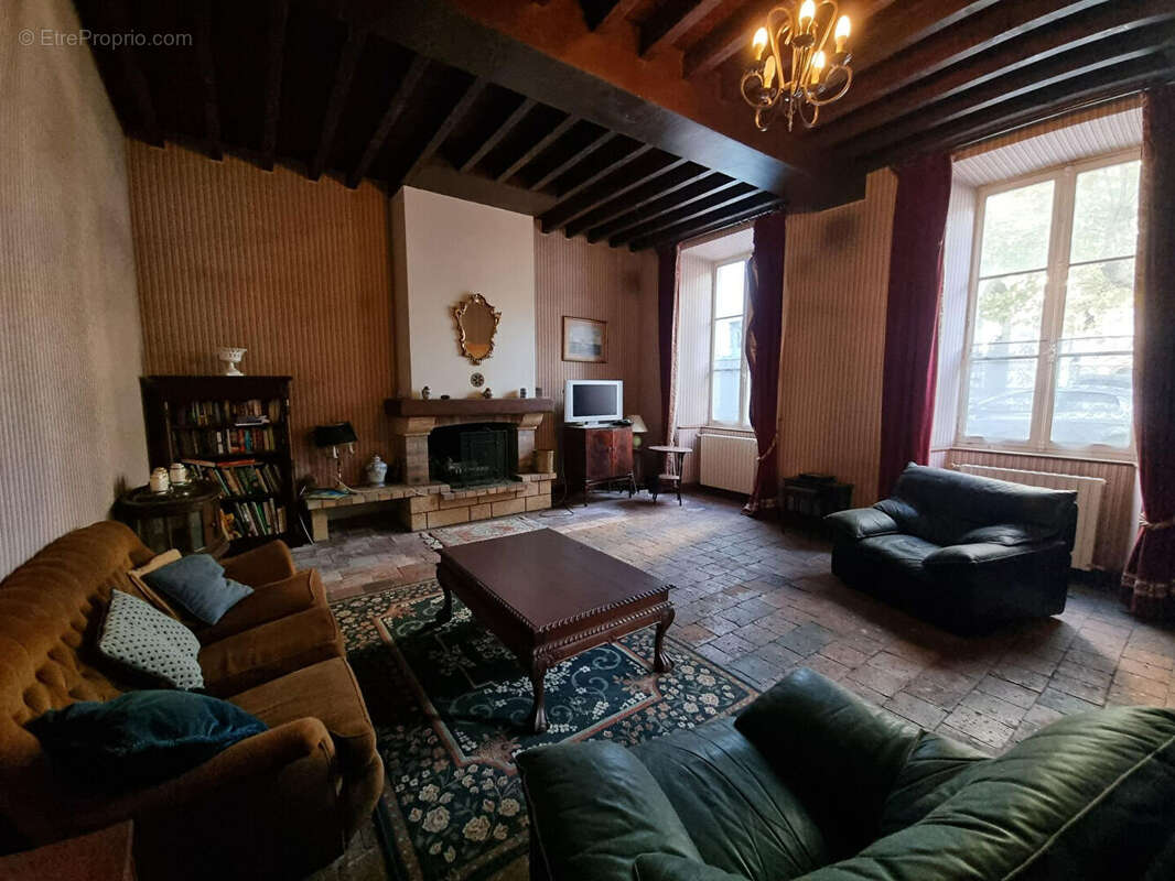 Maison de Maître Maubourguet centre 8 pièces 355 m² - photo 2