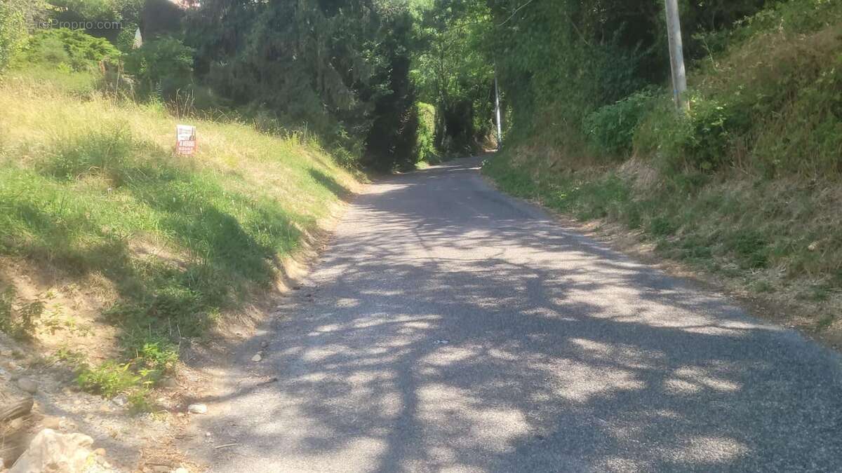 Terrain Gillonnay 458 m2 - photo 3