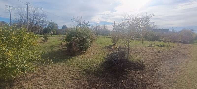 Terrain à SAINT-FRONT-DE-PRADOUX