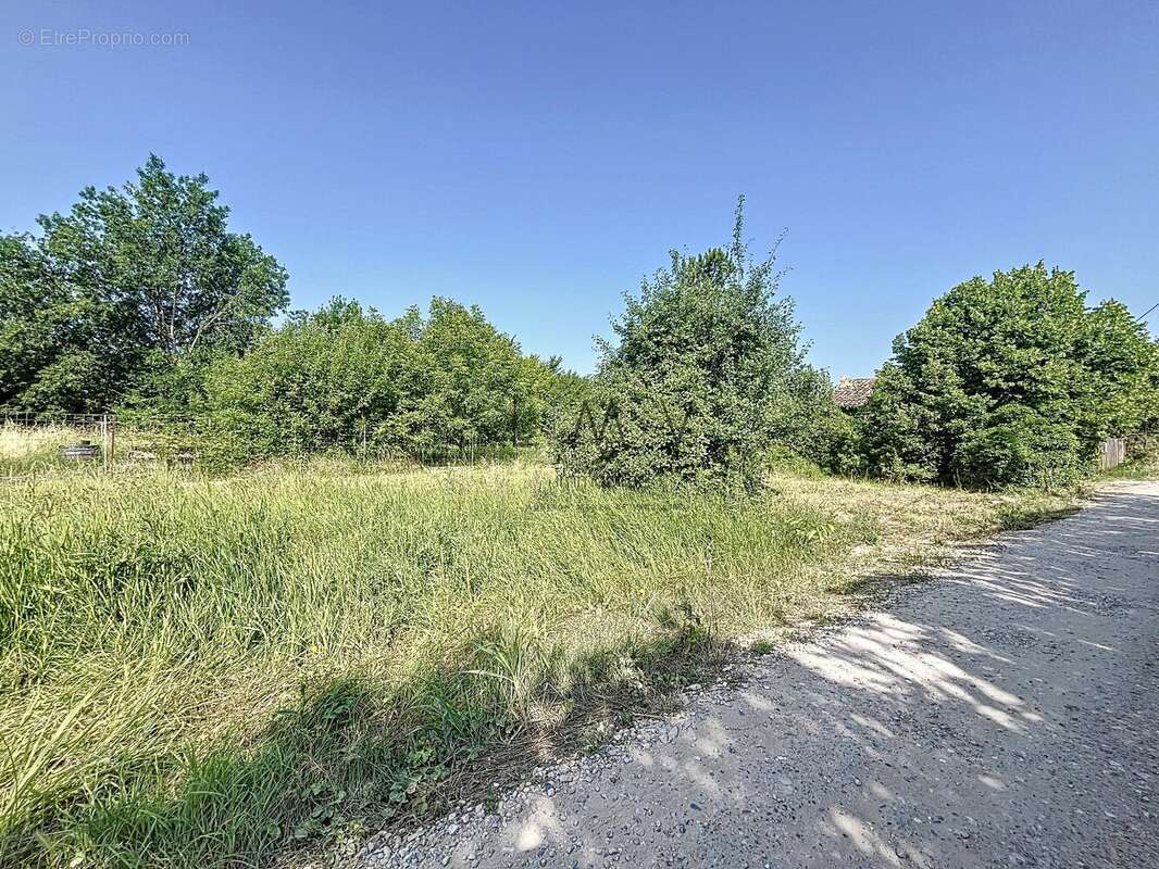 Terrain à L&#039;ISLE-SUR-LA-SORGUE