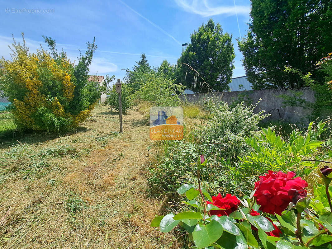 Maison à ARTHON-EN-RETZ