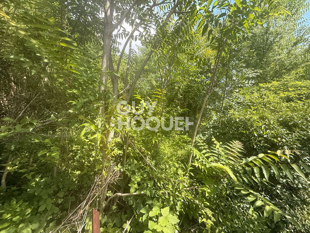 Terrain non constructible - 1 290 m² - Environnement naturel et privilégié - photo 7